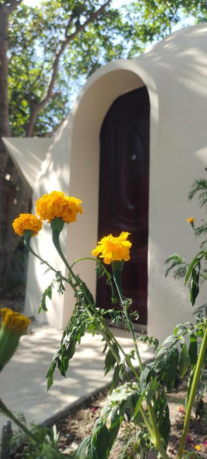 Done Right Hostel Phumi Chrouy Svay Buitenkant foto